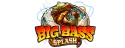 Big Bass Splash